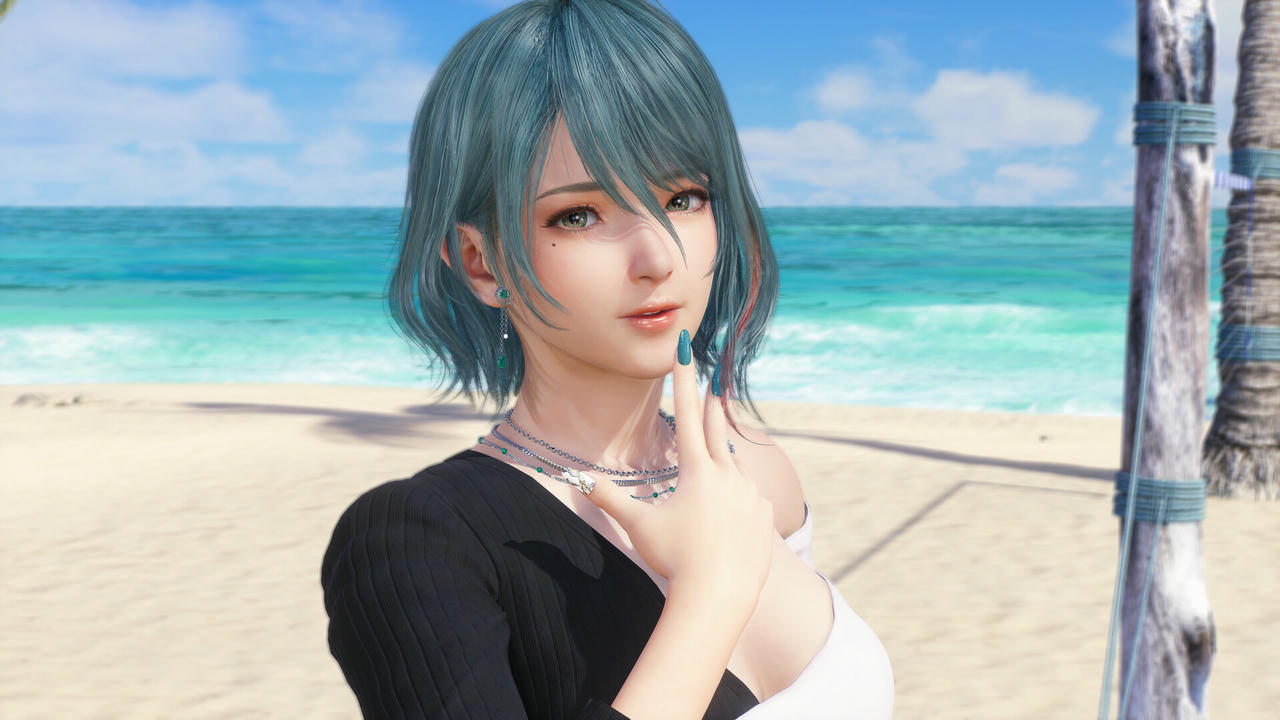 死或生：维纳斯璀璨假期 Build.18217496.v1.05.20250502+全DLC+预购特典 免安装中文豪华版[12.3GB]【B5176】