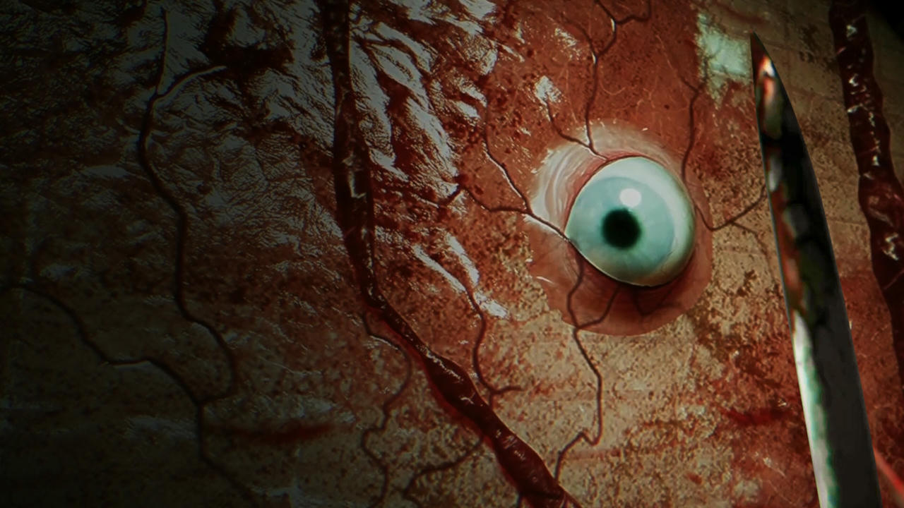 破碎怪谈：切勿直视 BrokenLore DON’T WATCH V20250611 免安装中文版[2.69GB]【B5706】